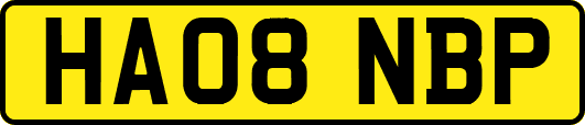HA08NBP