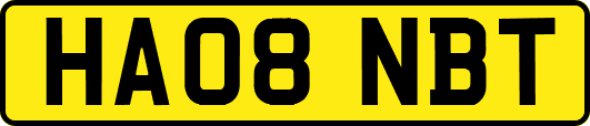 HA08NBT