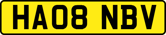 HA08NBV
