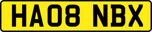 HA08NBX