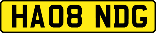 HA08NDG