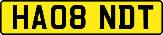 HA08NDT