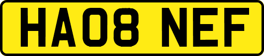 HA08NEF