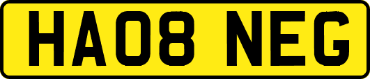 HA08NEG