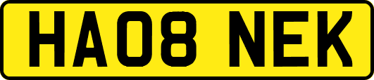 HA08NEK