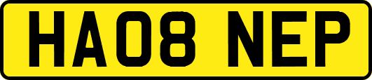 HA08NEP
