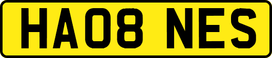 HA08NES
