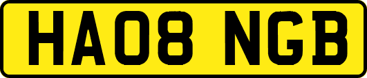 HA08NGB