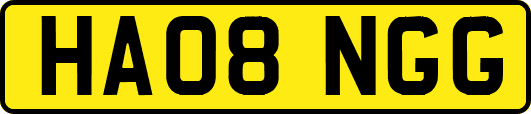 HA08NGG