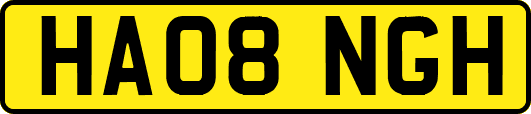 HA08NGH