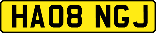 HA08NGJ