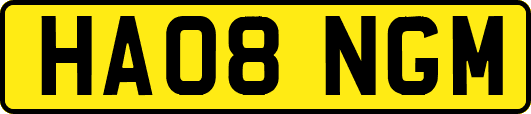 HA08NGM