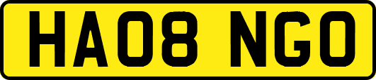 HA08NGO