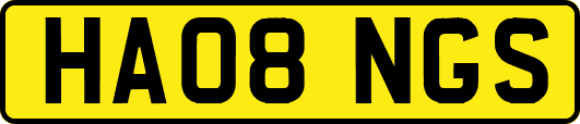 HA08NGS