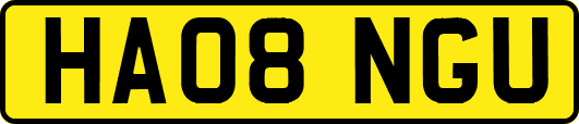 HA08NGU