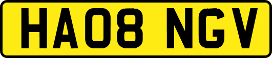 HA08NGV