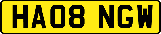 HA08NGW