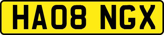 HA08NGX