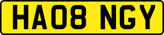 HA08NGY