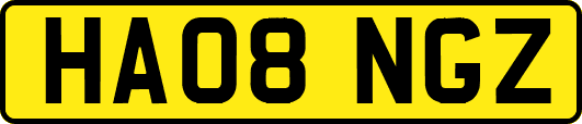 HA08NGZ