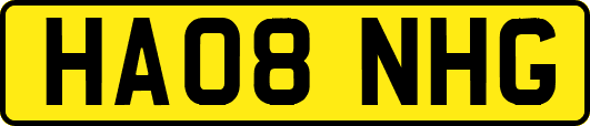 HA08NHG