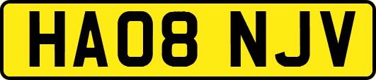 HA08NJV