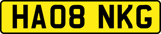 HA08NKG