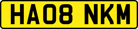 HA08NKM