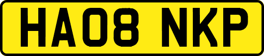 HA08NKP