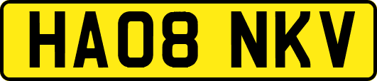 HA08NKV