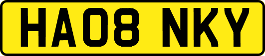 HA08NKY