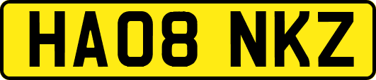 HA08NKZ