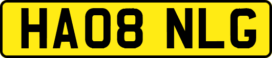 HA08NLG
