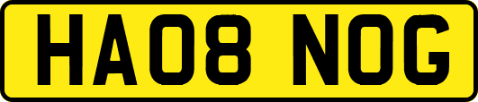 HA08NOG