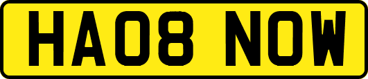 HA08NOW