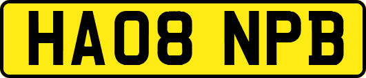 HA08NPB