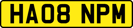 HA08NPM