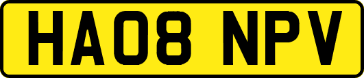 HA08NPV