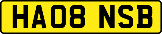 HA08NSB