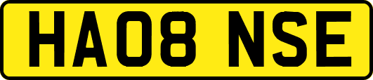 HA08NSE