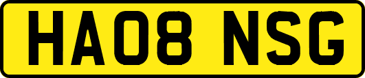 HA08NSG