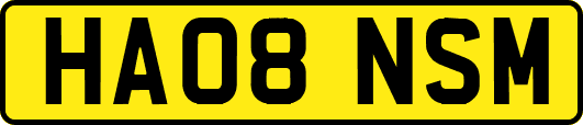 HA08NSM