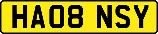 HA08NSY