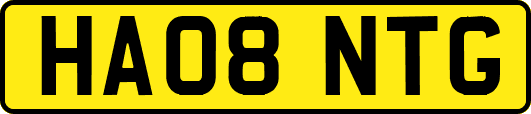 HA08NTG