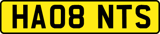 HA08NTS