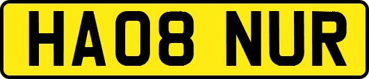 HA08NUR