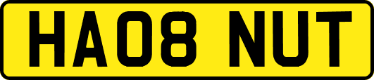HA08NUT