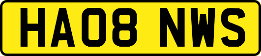 HA08NWS