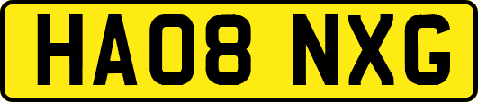 HA08NXG