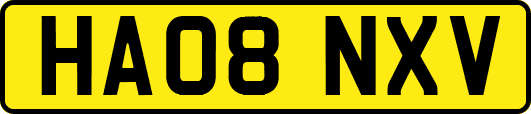 HA08NXV